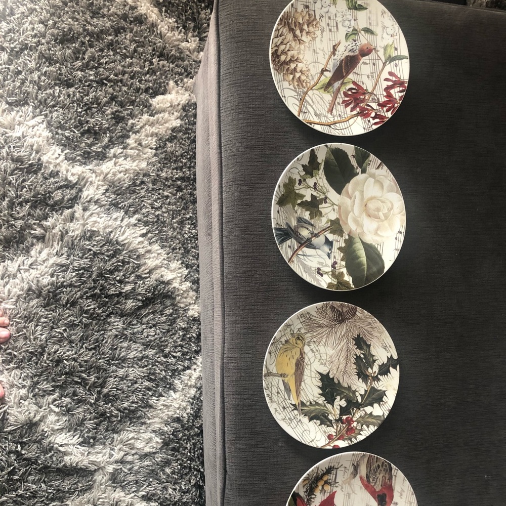 Pottery Barn plates - Picture 2 of 5
